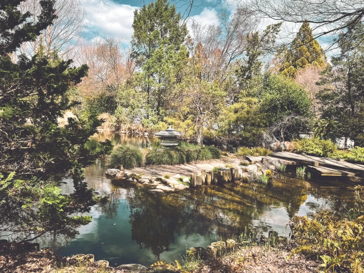 a pond and some rocks in a yard