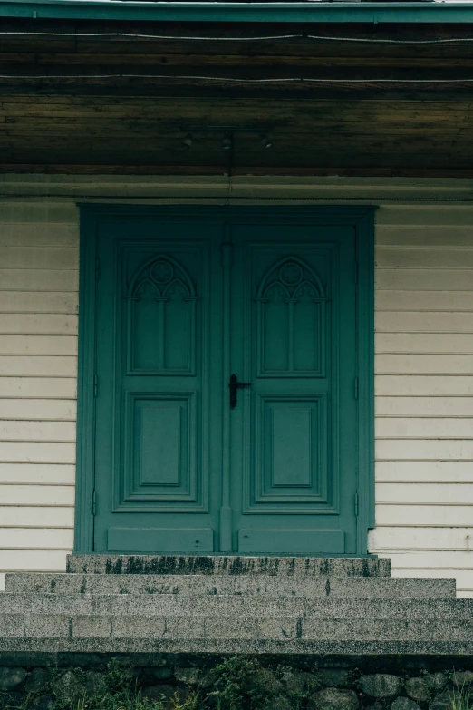 a dog is sitting outside of the door to a house