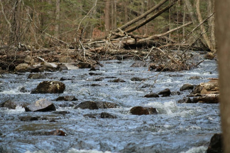 the water is really rushing by this wooden bridge