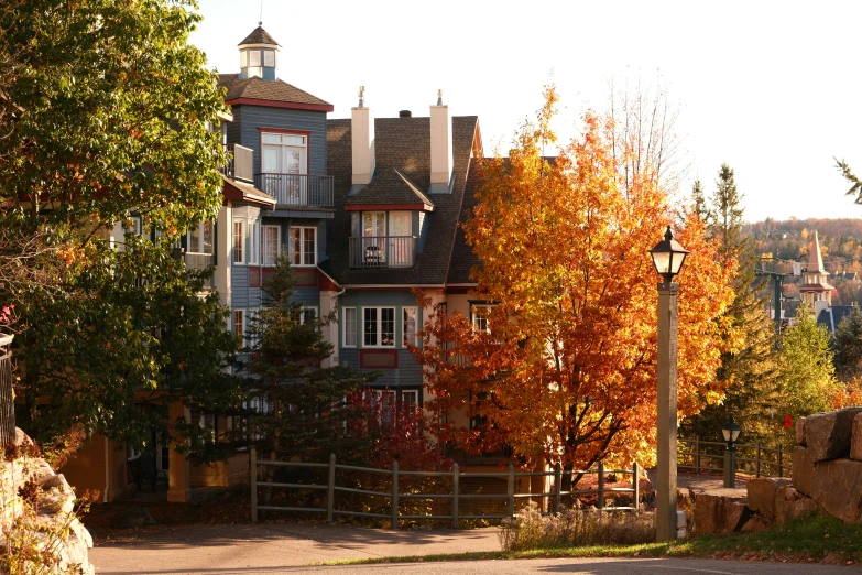 a tree with orange leaves is in front of houses