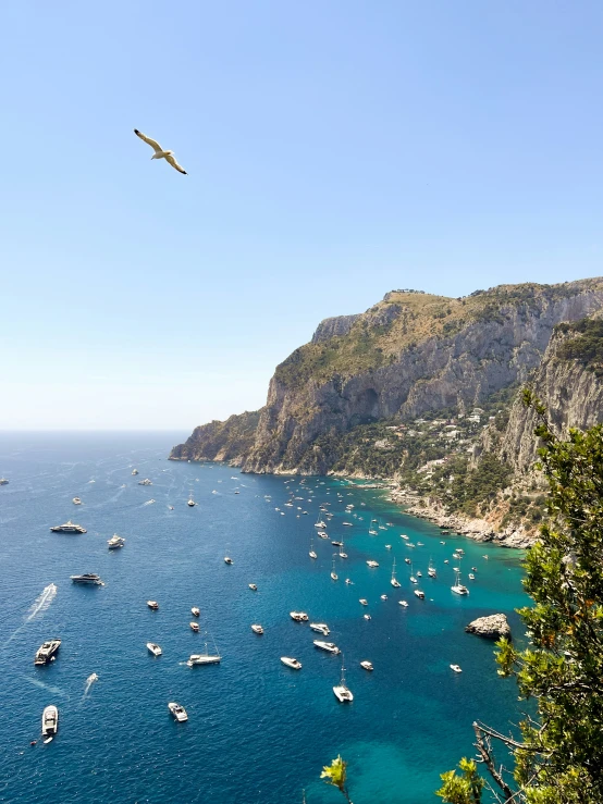 several boats are floating in blue waters with mountains in the background