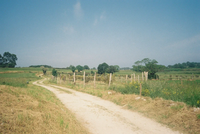 a dirt road on a grassy hill near an open field