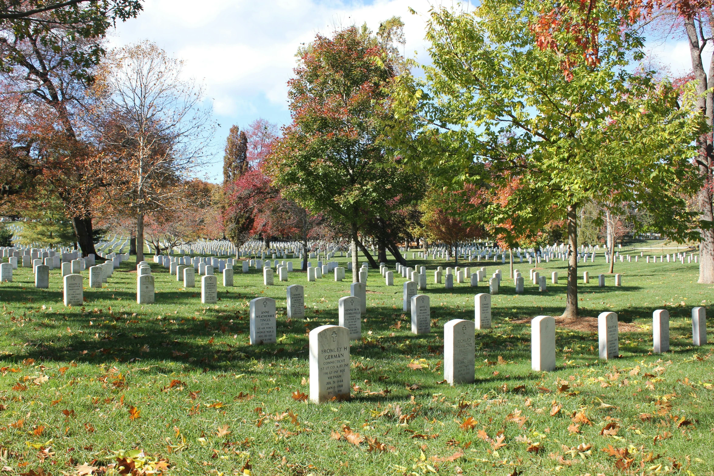 several rows of headstones in a large grassy cemetery