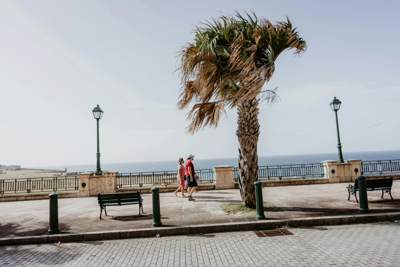 two people walk near some benches, one with a palm tree