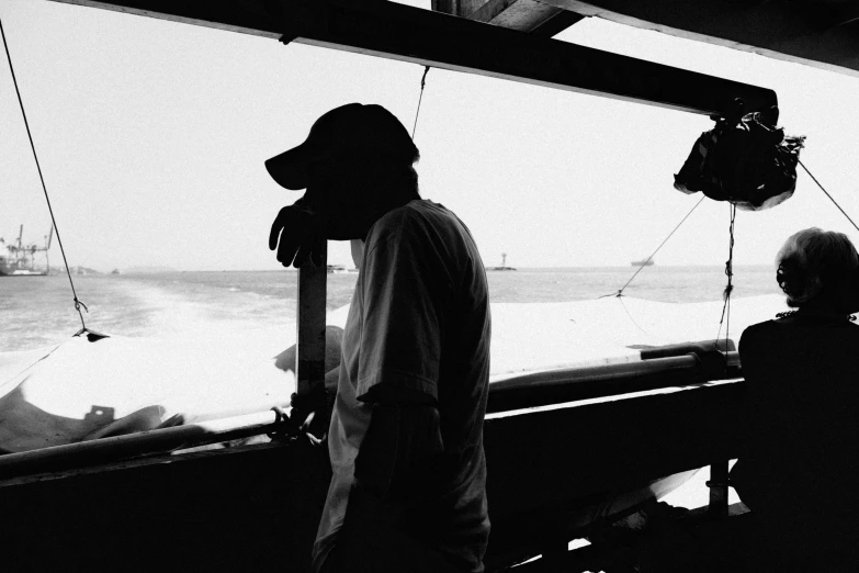 people watching dolphins out the window of a boat