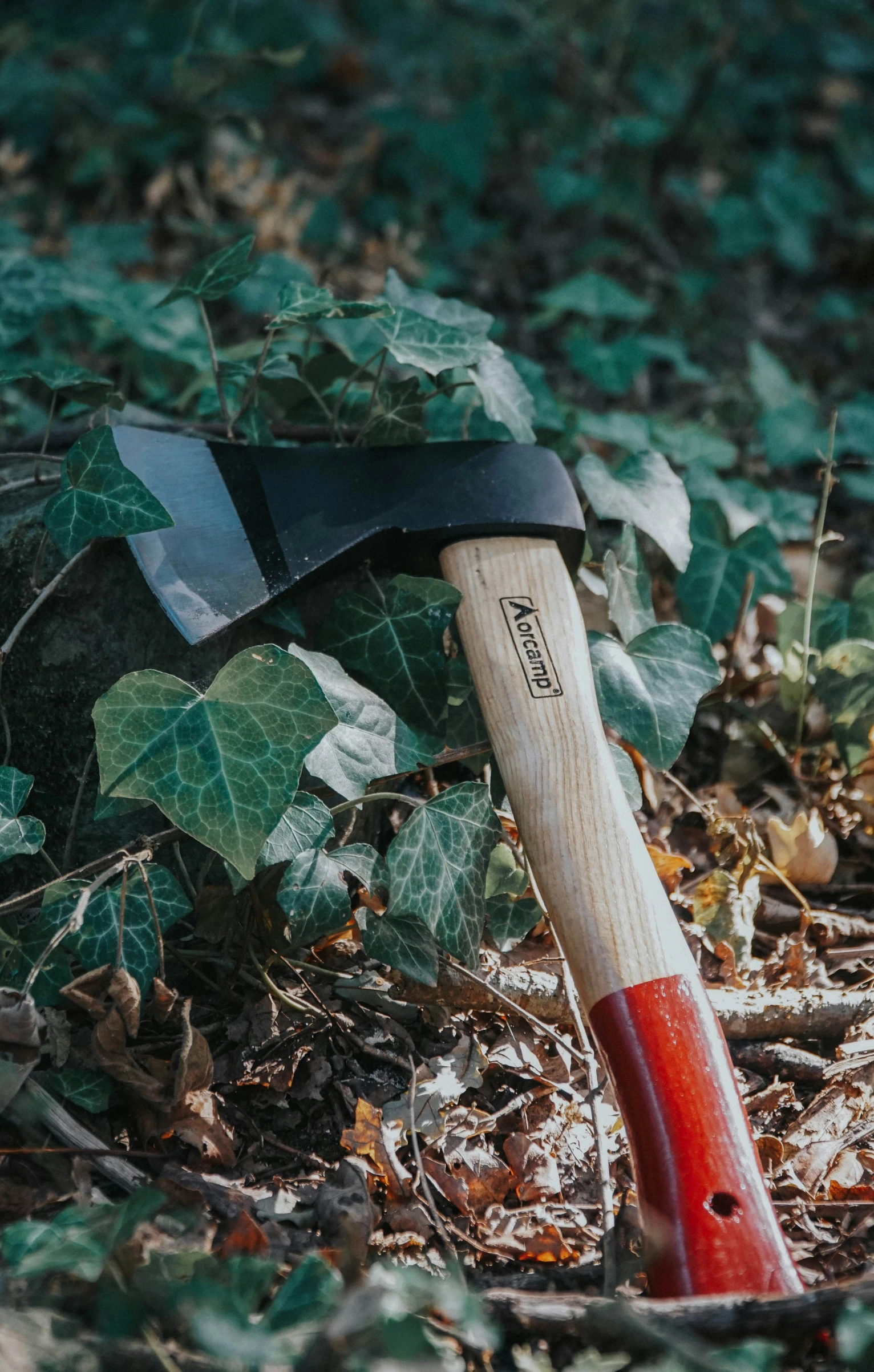 an axamail with a wood handle and leaf cutter in a pile of leaves