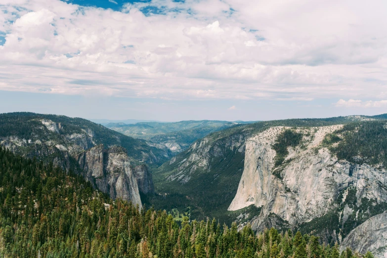 trees, mountains and a body of water from an overlook point