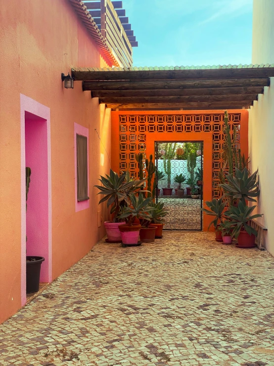 the front door of a pink house with cactuses on the gravel