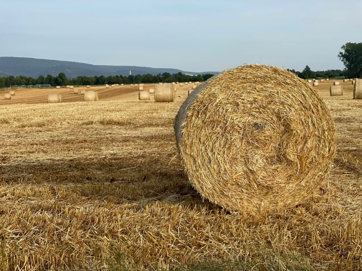 bales are stacked high on the ground of a farm