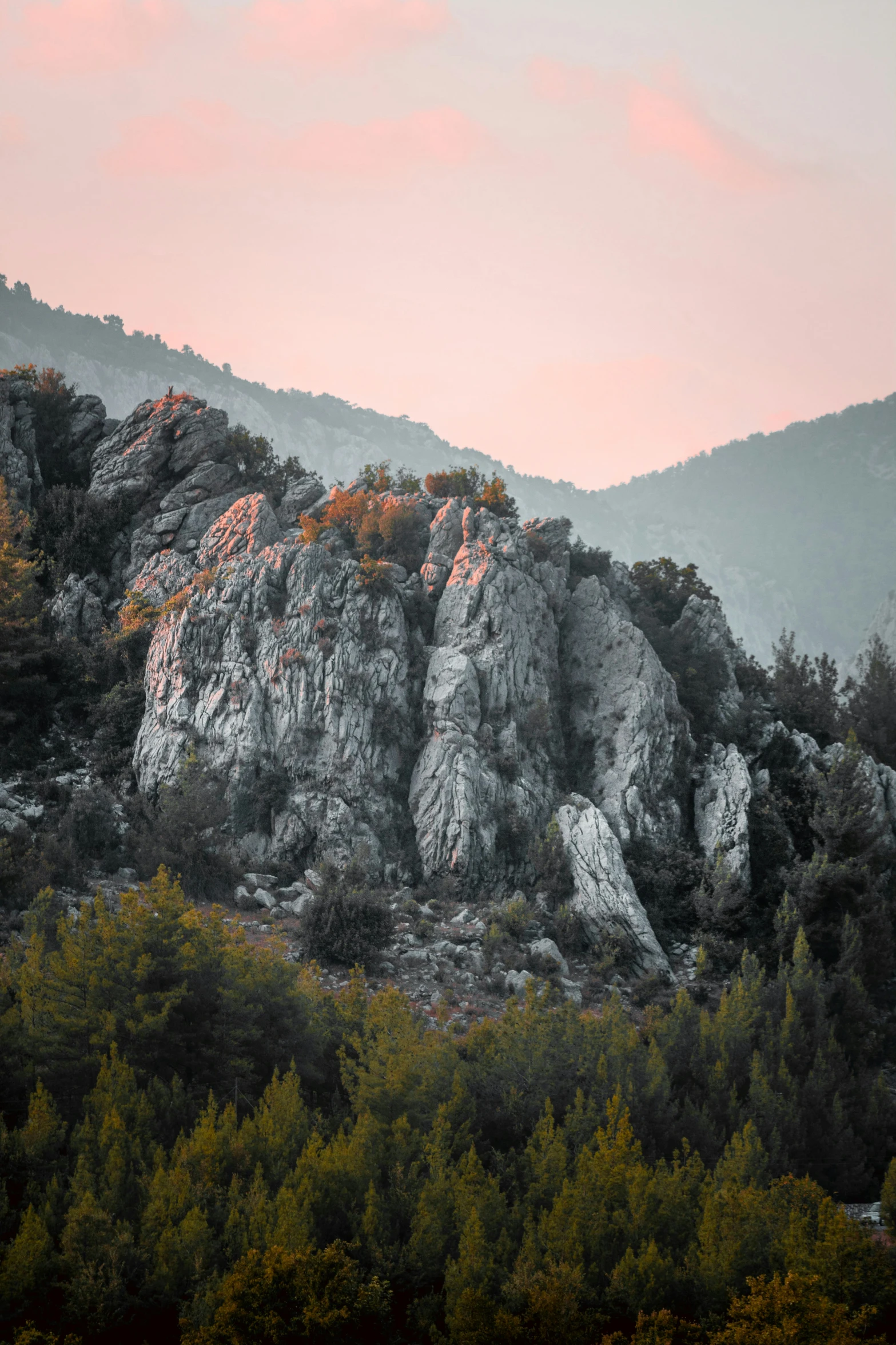 some trees some rocks and a pink sky