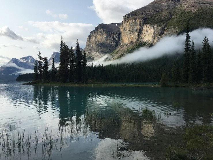 trees in front of a mountain lake in the wilderness