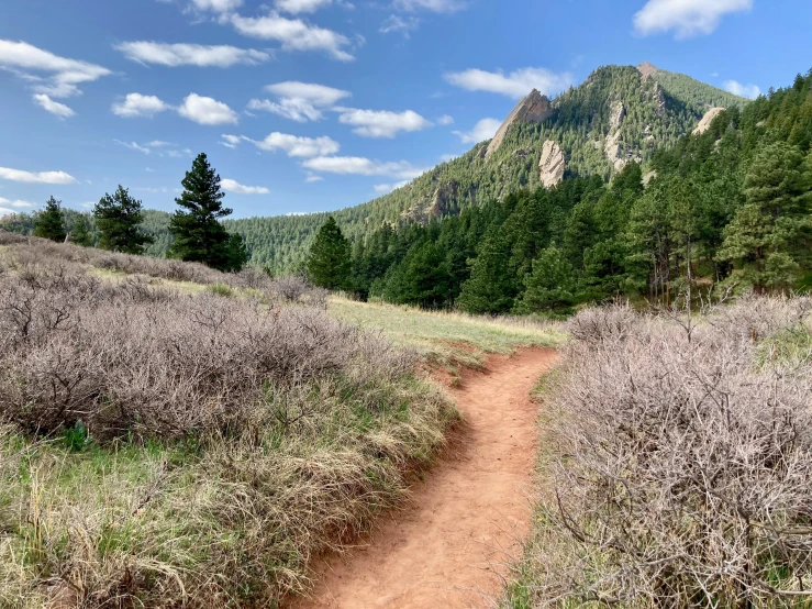 a dirt path leading to the top of a hill