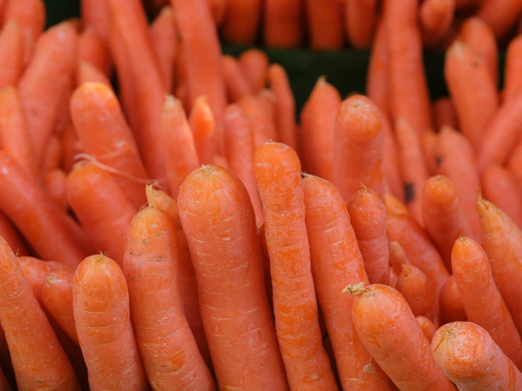 a pile of carrots is displayed with orange tops