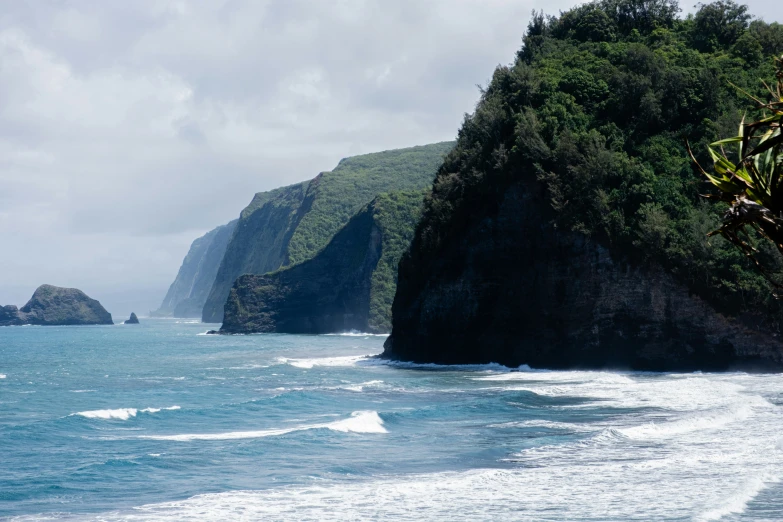 a large cliff on the edge of a tropical area