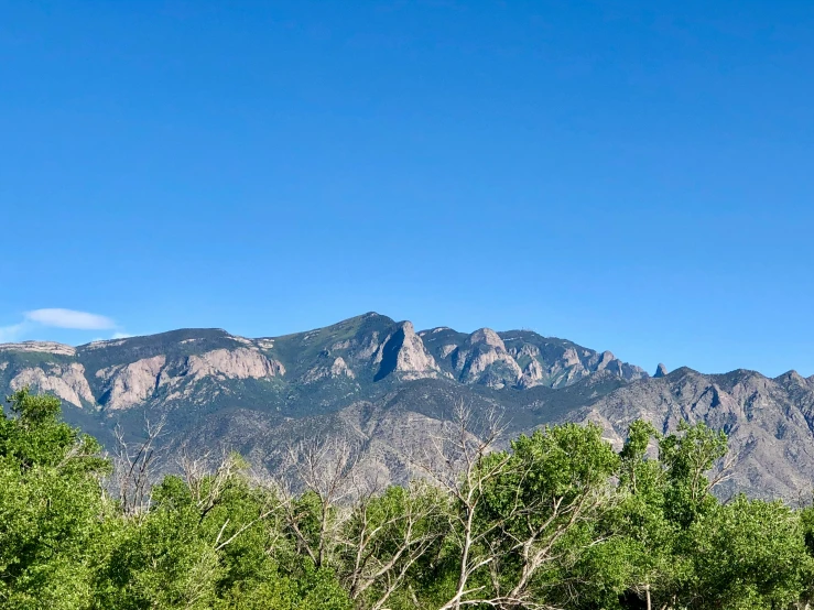 a landscape view of trees, mountains, and a clear blue sky