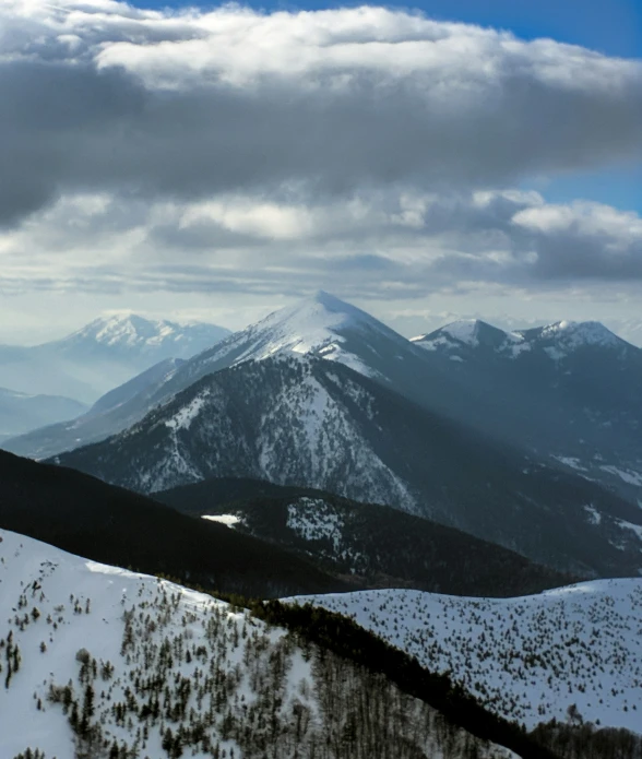 a mountain range has snow covered trees and evergreens