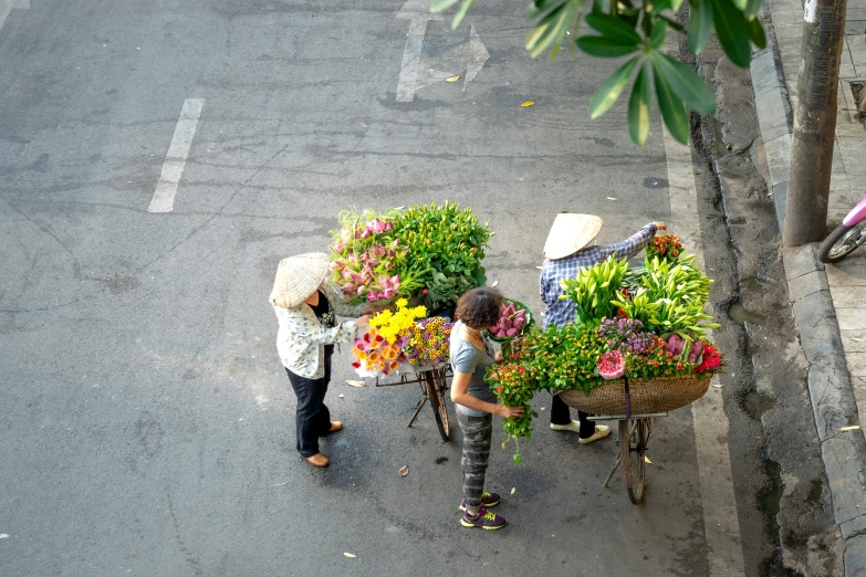 a group of people working with plants and fruit