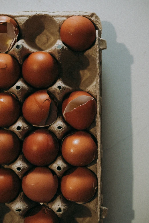 dozen eggs are placed in an egg box