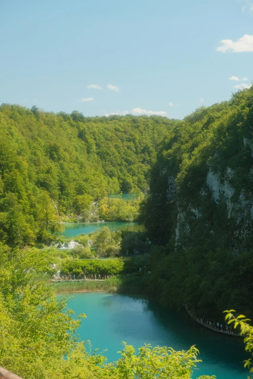 the view of a river in a green valley surrounded by forest