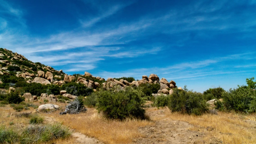 there is a brown dirt field with shrubs and rocks