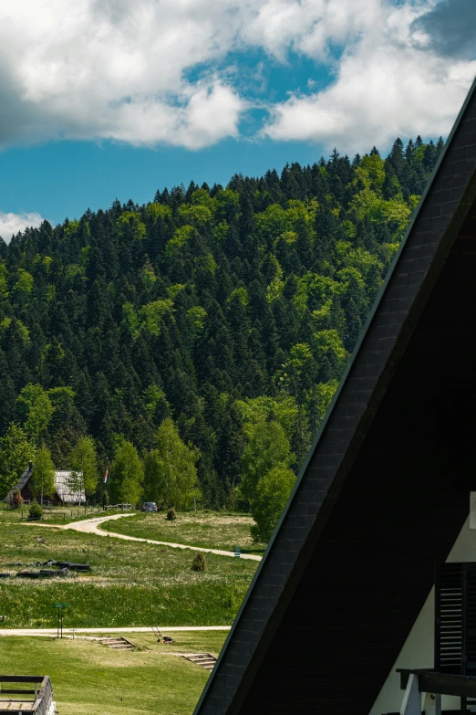 a lush green hillside sits below a mountain