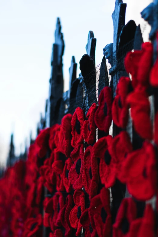 rows of red rose wreaths by a fence