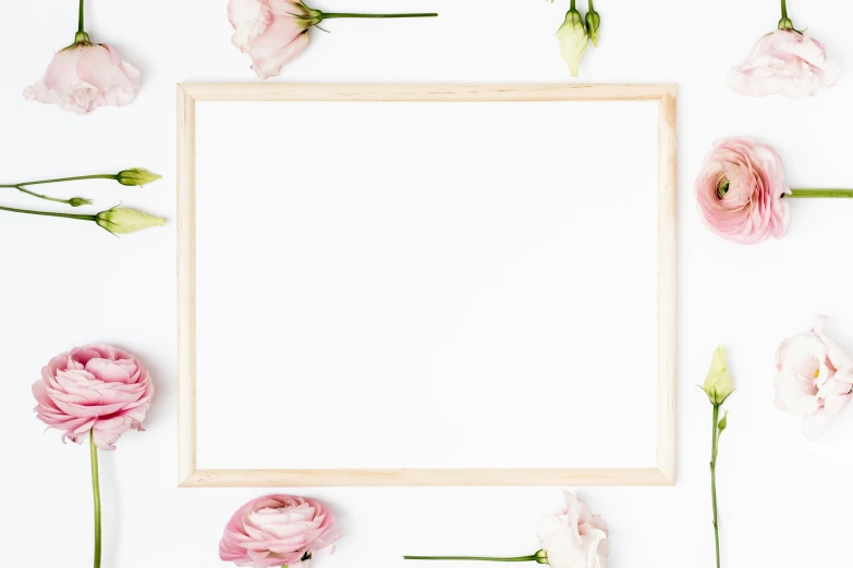 an empty po frame surrounded by pink flowers