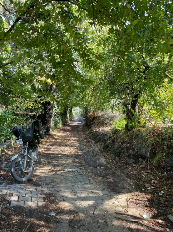 a motorcycle is parked on the side of a path in the shade