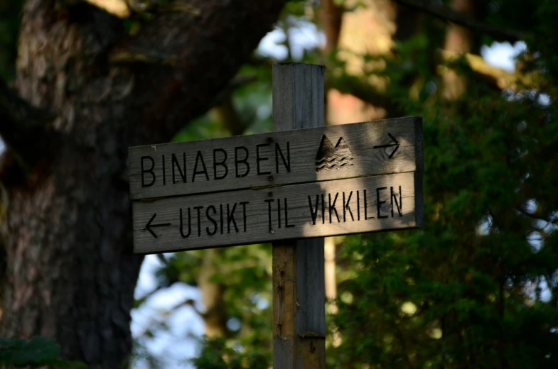 wooden sign in front of a tree with two arrows