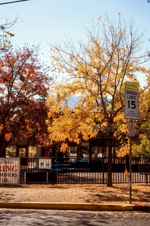 a street sign posted near a park in autumn