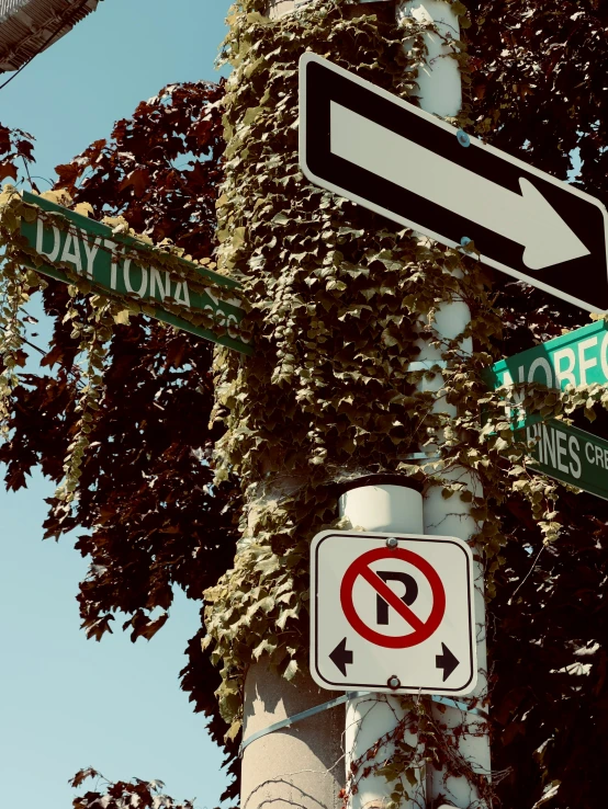 signs and street names are attached to a pole