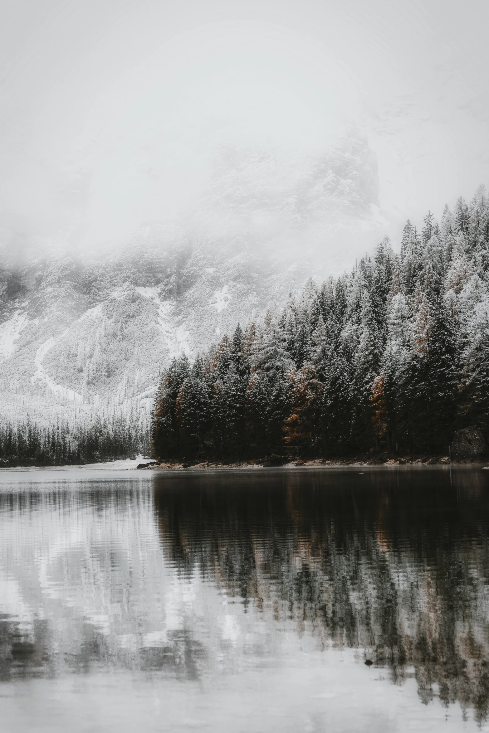 the reflection of snow capped mountains and trees in the water