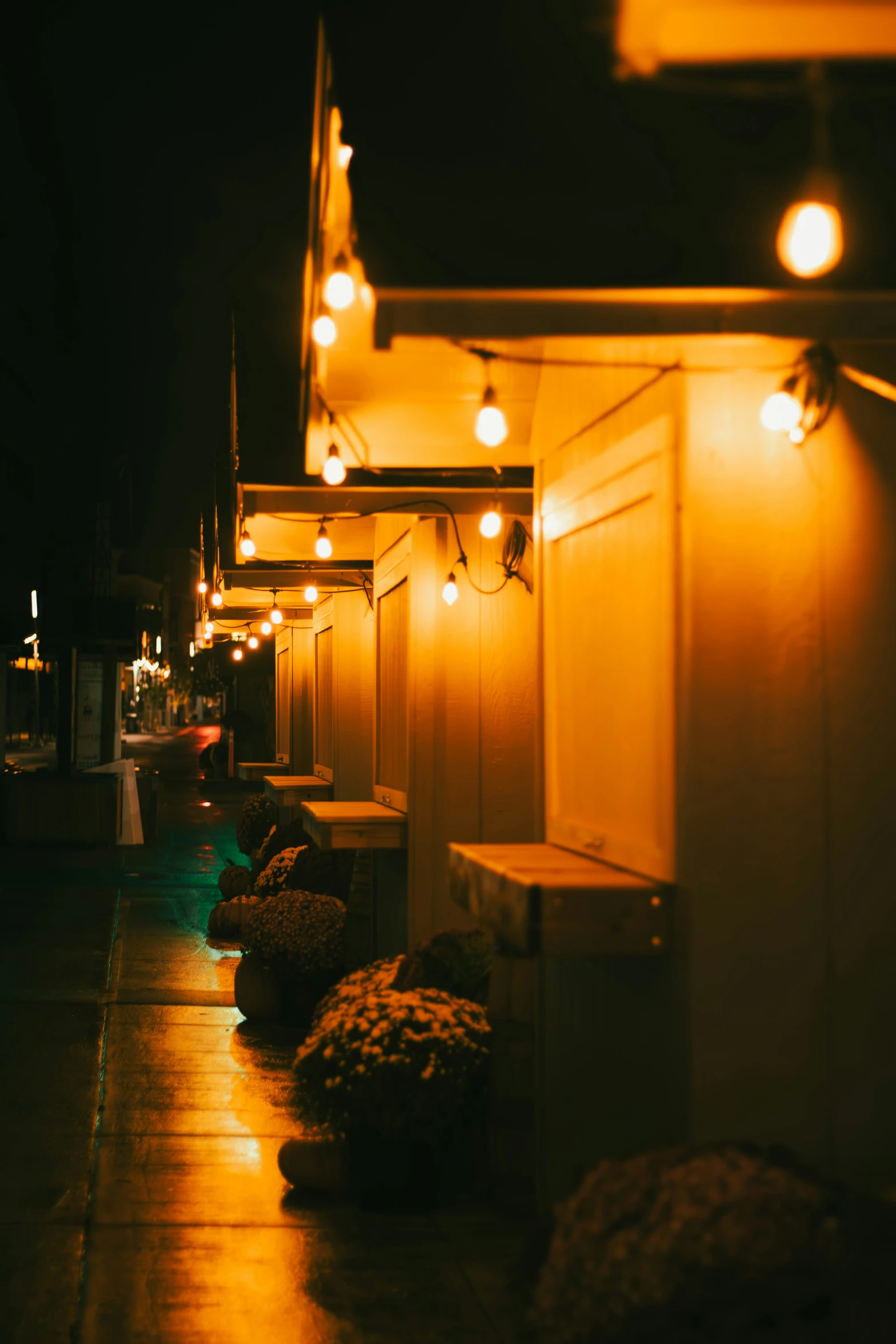 lights illuminate the exterior of houses at night