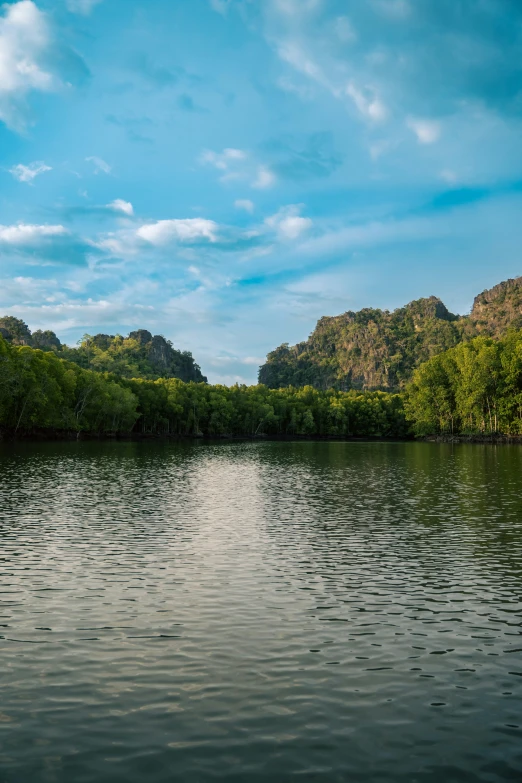 a picture of the river and trees on it