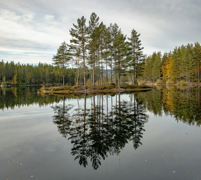 a body of water with trees on each side