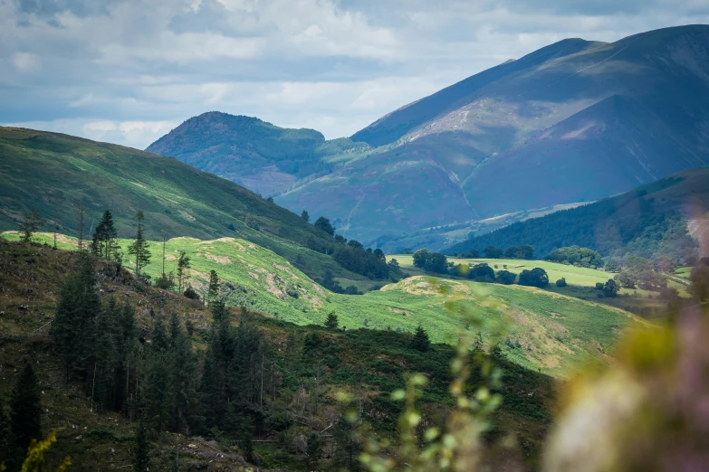 a beautiful view of mountains with a grassy green field in the foreground