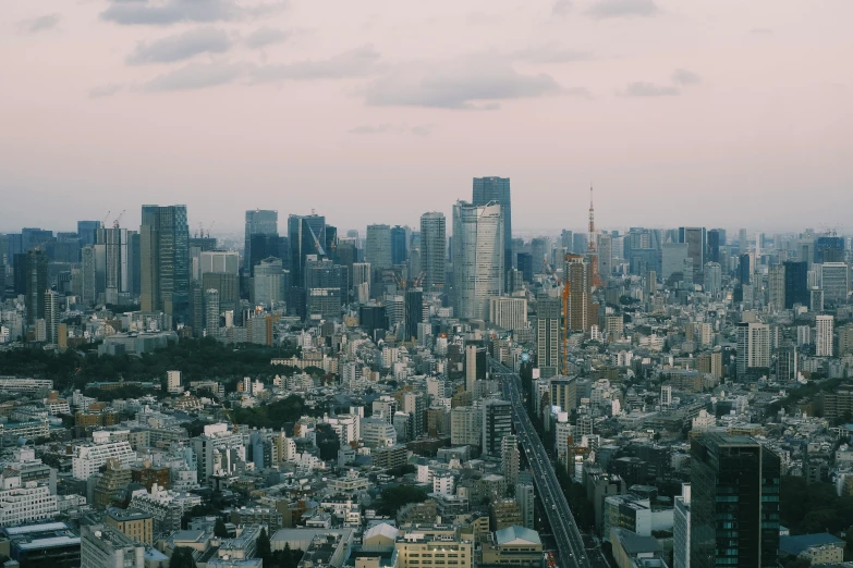 a large city filled with lots of tall buildings