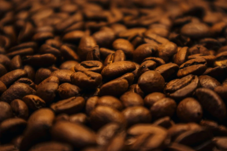 a po of coffee beans taken closeup