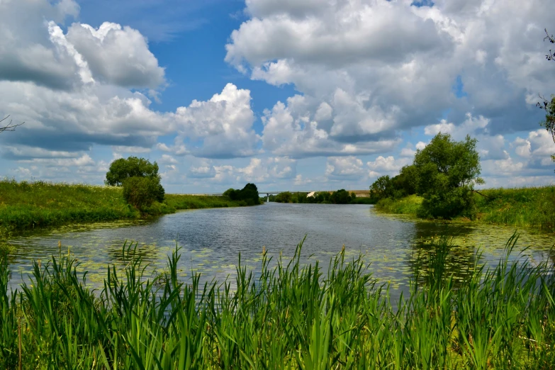 the clouds float in the blue sky over the water