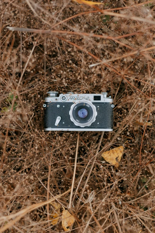 a broken down camera lies on its side among dry grass