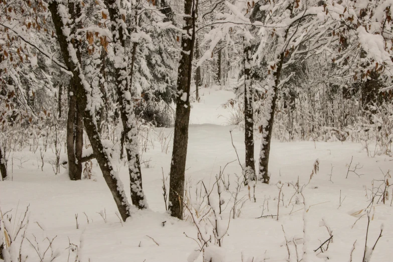 a picture of the snow that has been falling