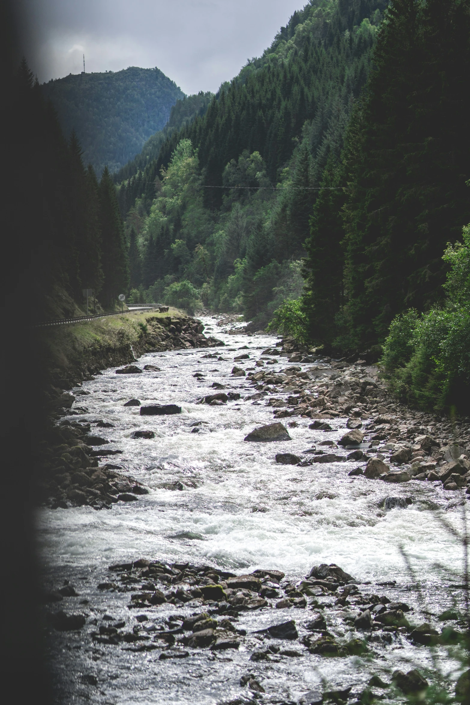 the stream flows between a forest and a mountain