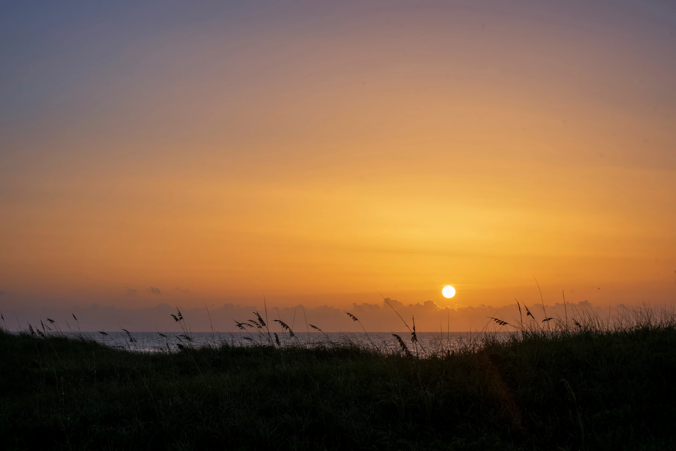 sunset and sea with clouds, grass and flowers on ground