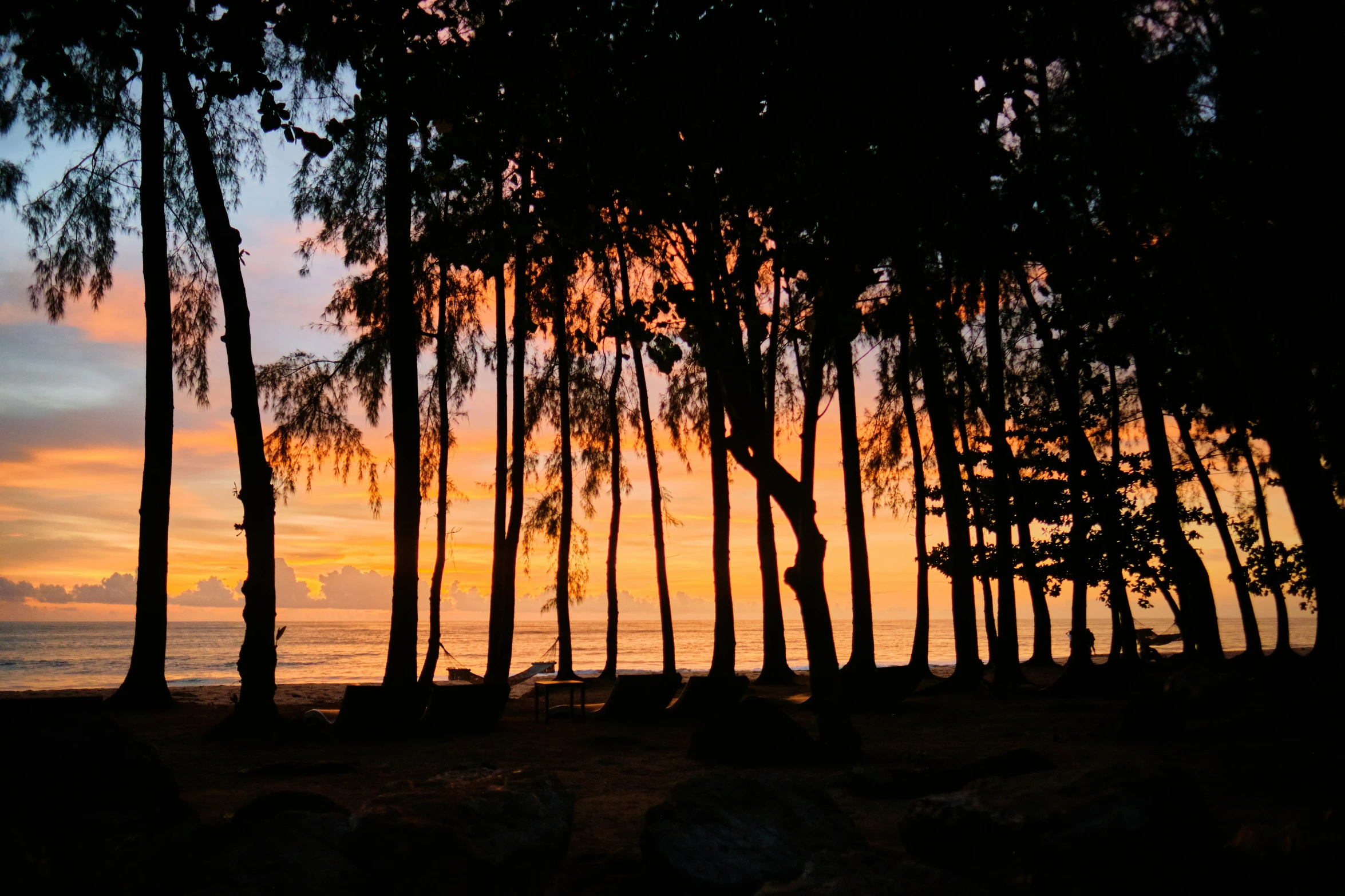 the sun setting behind silhouetted trees along the water