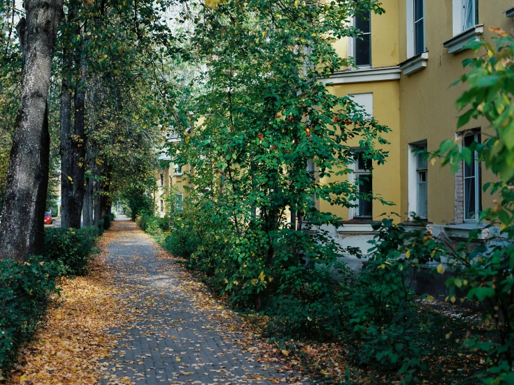 a narrow walkway with trees and bushes next to a building