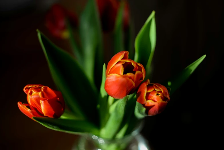 an arrangement of red and orange flowers in a glass vase