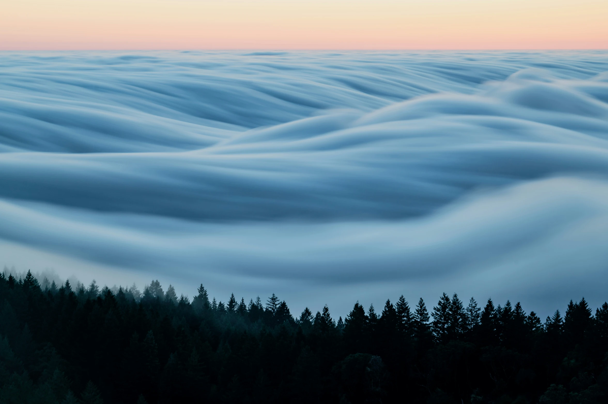 a cloudy landscape is shown over the forest