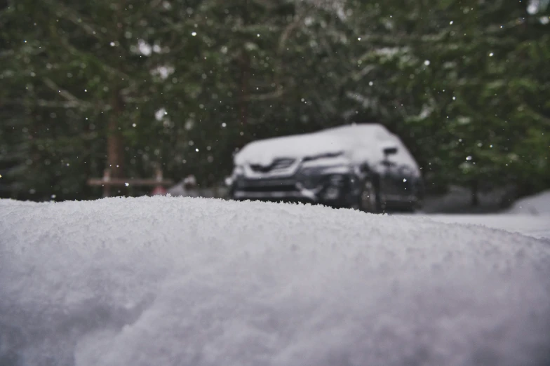 snow on the roof of a car near a forest