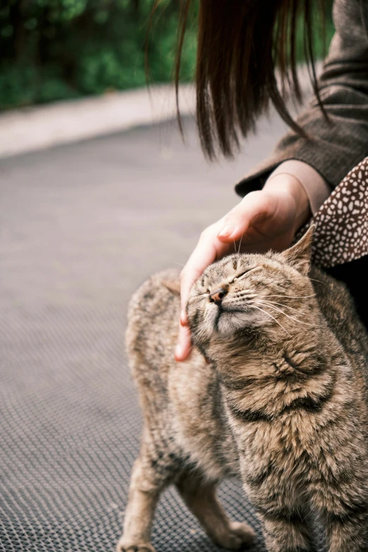 a woman pets a cat on the footpath