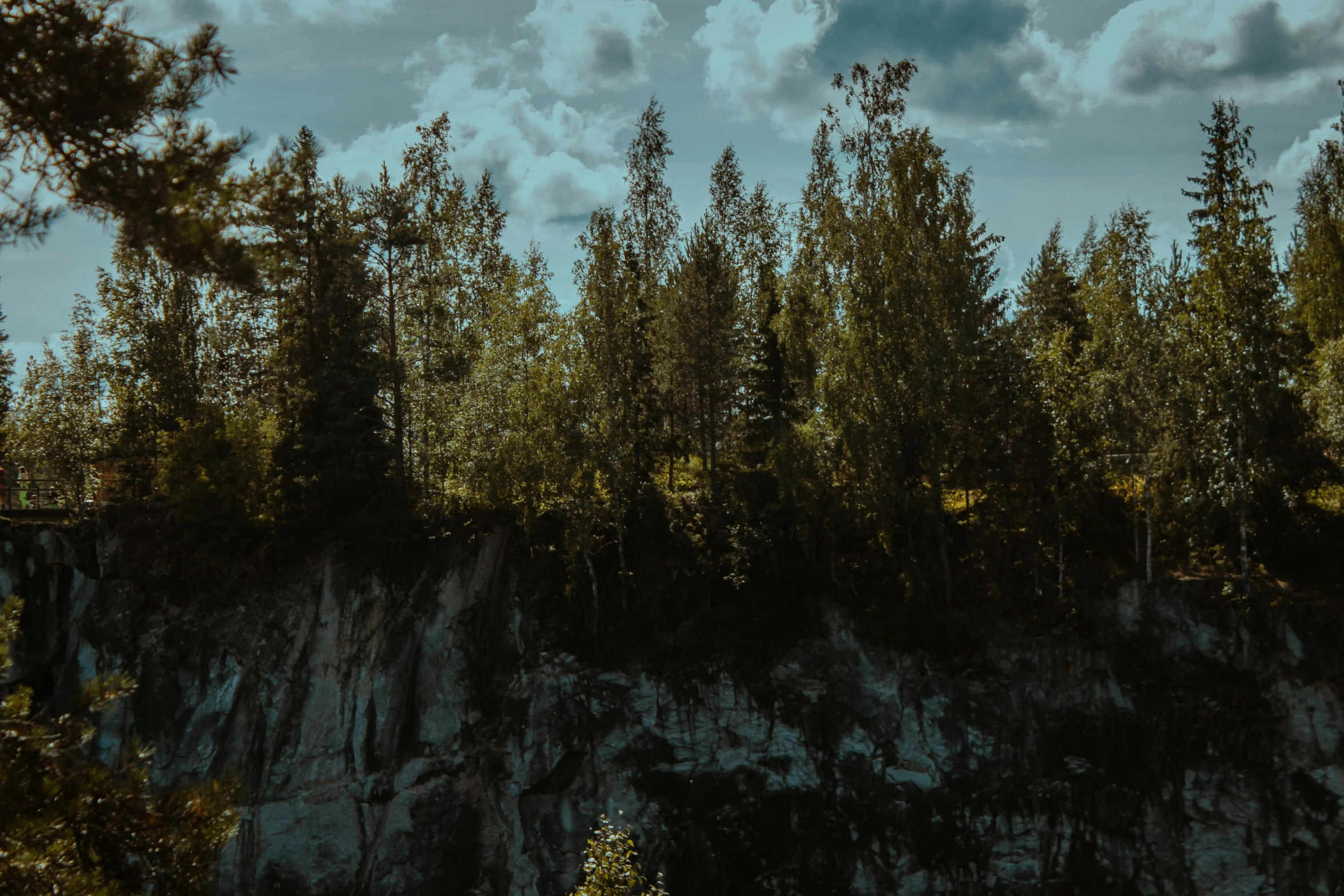 trees and cliff by an airplane flying over the ocean